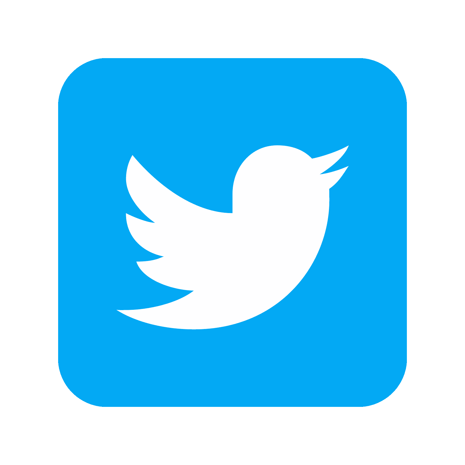 twitter social link